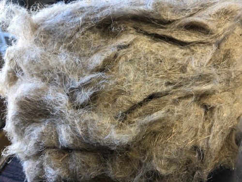 Flax Fibre